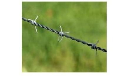 Foto do insumo SINAPI 339 — ARAME FARPADO GALVANIZADO, 14 BWG (2,11 MM), CLASSE 250