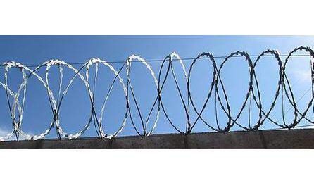 Foto do insumo SINAPI 34348 — CONCERTINA CLIPADA (DUPLA) EM ACO GALVANIZADO DE ALTA RESISTENCIA, COM ESPIRAL D